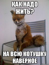 как надо жить? на всю котушку наверное