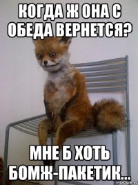 когда ж она с обеда вернется? мне б хоть бомж-пакетик...