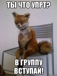 ты что упрт? в группу вступай!