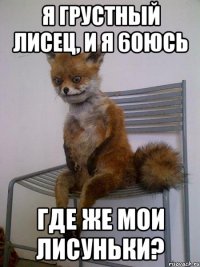 я грустный лисец, и я 6оюсь где же мои лисуньки?