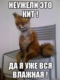 неужели это кит ! да я уже вся влажная !