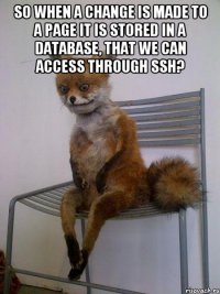 so when a change is made to a page it is stored in a database, that we can access through ssh? 