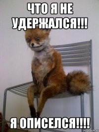 что я не удержался!!! я описелся!!!