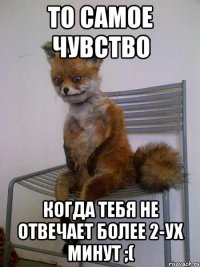 то самое чувство когда тебя не отвечает более 2-ух минут ;(