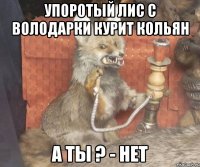 упоротый лис с володарки курит кольян а ты ? - нет