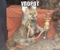 упорот 