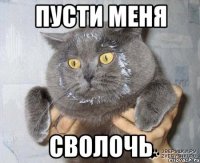пусти меня сволочь
