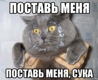 поставь меня поставь меня, сука