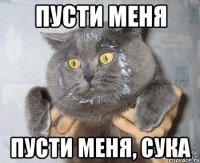 пусти меня пусти меня, сука