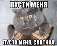 пусти меня пусти меня, скотина