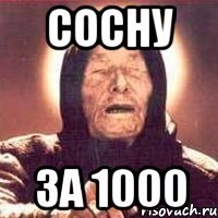 сосну за 1000