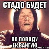 стадо будет по поводу ек,вангую