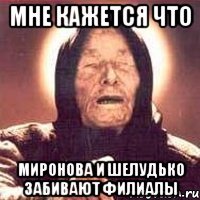 мне кажется что миронова и шелудько забивают филиалы