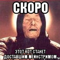 скоро этот кот станет доставшим мейнстримом