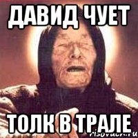 давид чует толк в трале