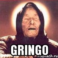  gringo