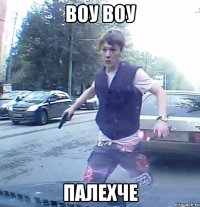 воу воу палехче