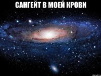 сангейт в моей крови 