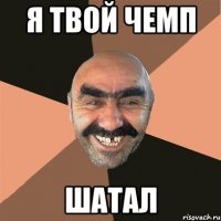 я твой чемп шатал