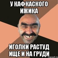 у кафкаского ижика иголки растуд ище и на груди
