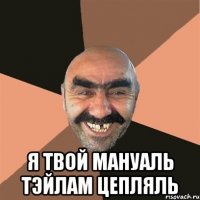  я твой мануаль тэйлам цепляль