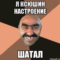 я ксюшин настроение шатал