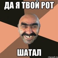 да я твой рот шатал