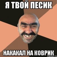 я твой песик накакал на коврик