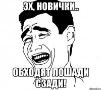 эх, новички.. обходят лошади сзади!