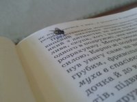 Создать мем Потому что вот почему