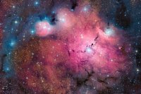 Создать мем У каждого есть ебанутая подруга 