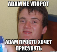 adam не упорот аdam просто хочет присунуть