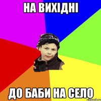 на вихідні до баби на село