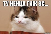 ту hенца гиж эс... 