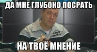 да мне глубоко посрать на твоё мнение