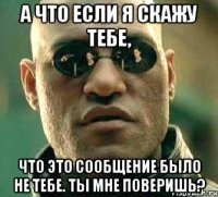 а что если я скажу тебе, что это сообщение было не тебе. ты мне поверишь?