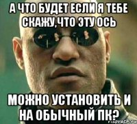 а что будет если я тебе скажу,что эту ось можно установить и на обычный пк?