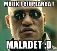 mujik ! ciupearca ! maladet :d