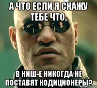 а что если я скажу тебе что, в ниш-е никогда не поставят кодиционеры?