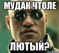 мудак чтоле лютый?