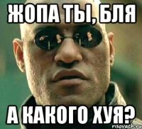 жопа ты, бля а какого хуя?