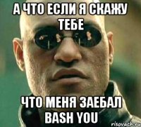 а что если я скажу тебе что меня заебал bash you