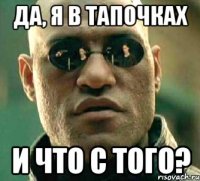 да, я в тапочках и что с того?