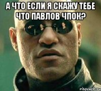 а что если я скажу тебе что павлов чпок? 