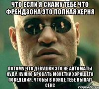 что если я скажу тебе что френдзона это полная херня потому что девушки это не автоматы куда нужно бросать монетки хорошего поведения, чтобы в конце тебе выпал секс