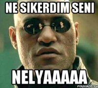 ne sikerdim seni nelyaaaaa