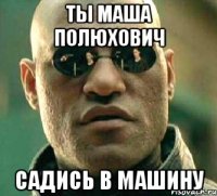 ты маша полюхович садись в машину