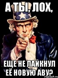 а ты, лох, еще не лайкнул её новую аву?