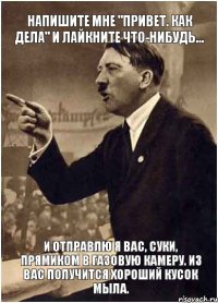 Напишите мне "привет. как дела" и лайкните что-нибудь... И отправлю я вас, суки, прямиком в газовую камеру. Из вас получится хороший кусок мыла.