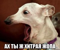  ах ты ж хитрая жопа
